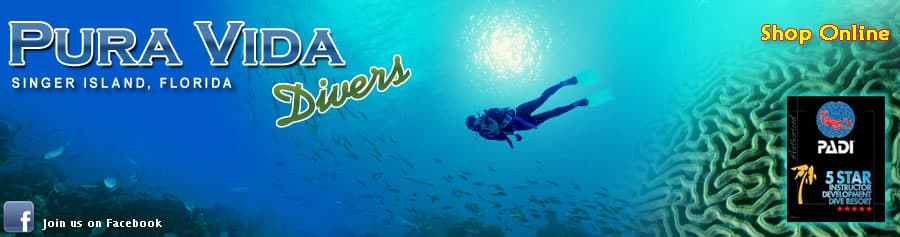 SCUBA Diving Florida With Pura Vida Divers