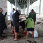 divers counting1
