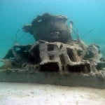 Blue Heron Bridge Reef Cell