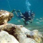 Blue Heron Bridge New Rock Pile