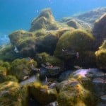 Blue Heron Bridge Rock Pile with New Growth