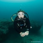 Diver enjoying the wreck