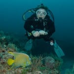 Diver with Angelfish