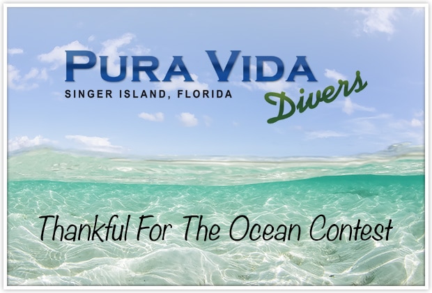 Thankful For The Ocean Contest
