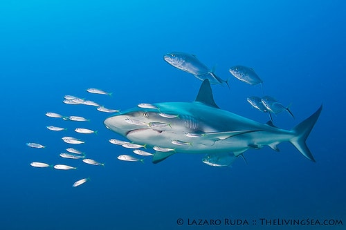 7609025462_c48cb405f7