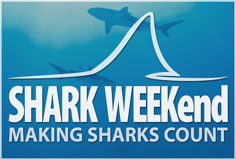 shark-weekend-poster