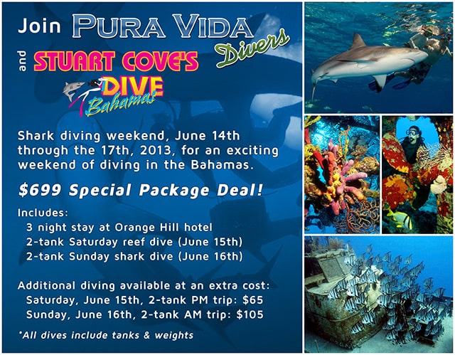 Shark Dive Stuart Cove