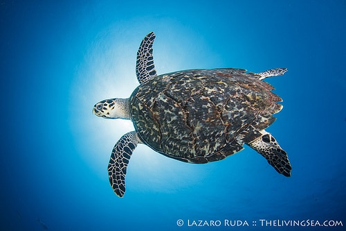 8476312248_259c241921