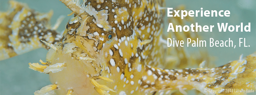 391670_10151615644856760_1519378787_n