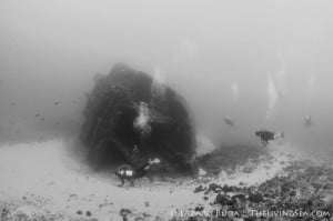 Palm Beach Wreck Diving