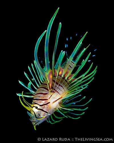 8475254031_4554e00c13