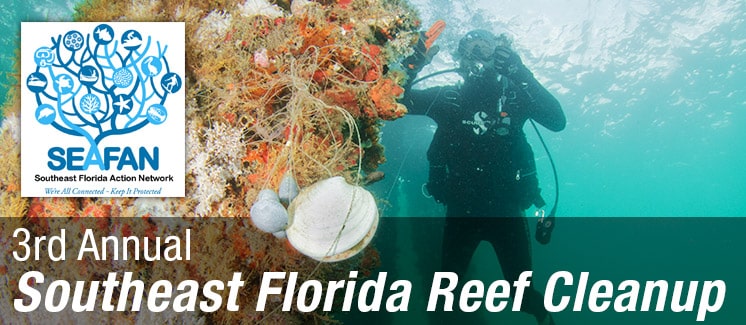 Reef Cleanup