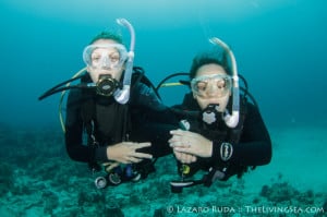 Scuba Lessons