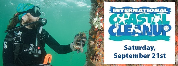 blog-Intl-Clean-Up