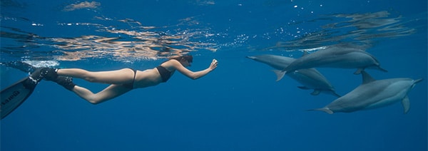 Underwater housing for iPhone