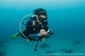 Andrea work on her REEF Fish Count
