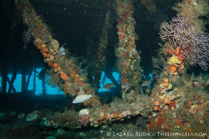 Inside of the Spud Barge