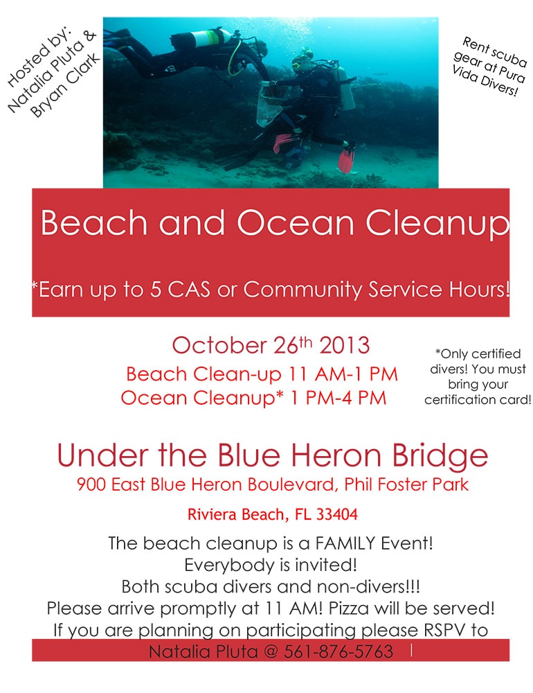 Beach-and-Ocean-Cleanup