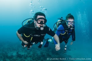 Drift Diving Palm Beach