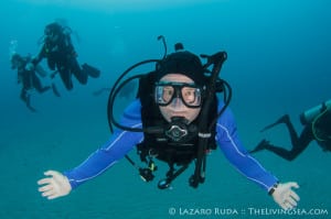 Drift Diving North Palm Beach