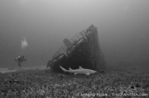 Wreck Diving Palm Beach