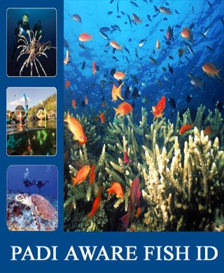 AWARE-FISH-ID