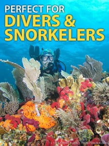 diver-snorkeler