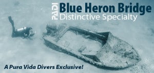 Blue Heron Bridge Dive Speciality