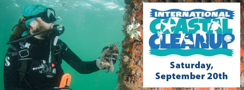 Intl-Clean-Up-Banner