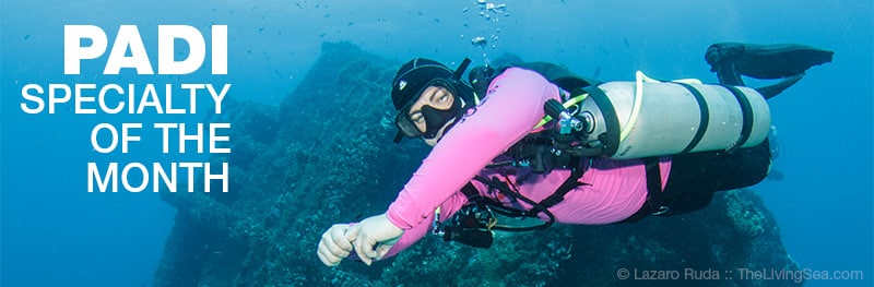 padi-wreck-specialty