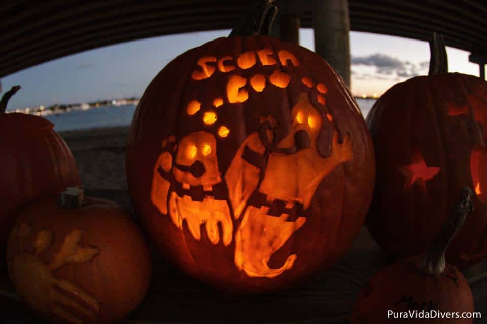 1377409_10151901630811760_1853904012_n