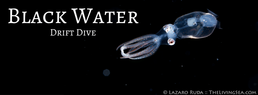 Black Water Drift Dive