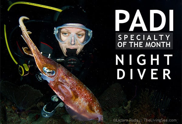padi-night-diver-lg
