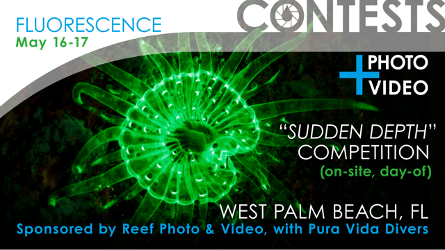 RPV_Flash_Banner_Fluoro_Contest_FB