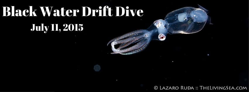 Black Water Drift Dive