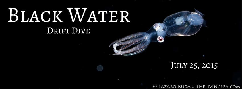Black Water Drift Dive