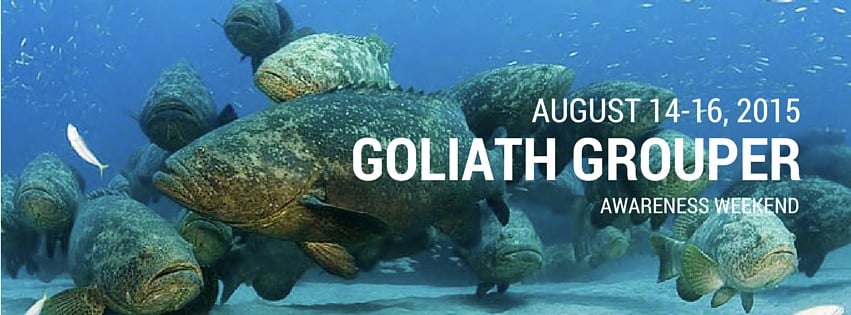 Goliath Grouper Awareness Weekend