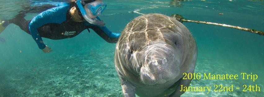2016 Manatee Trip