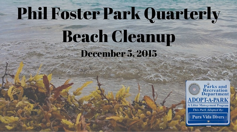 Phil Foster Park Quarterly Beach Cleanup