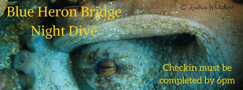 Blue Heron Bridge Night Dive: December 28th