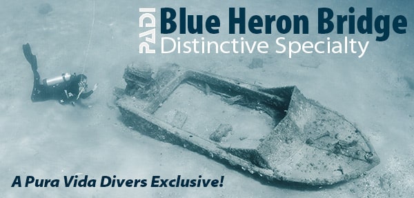 bhb-distinctive-specialty