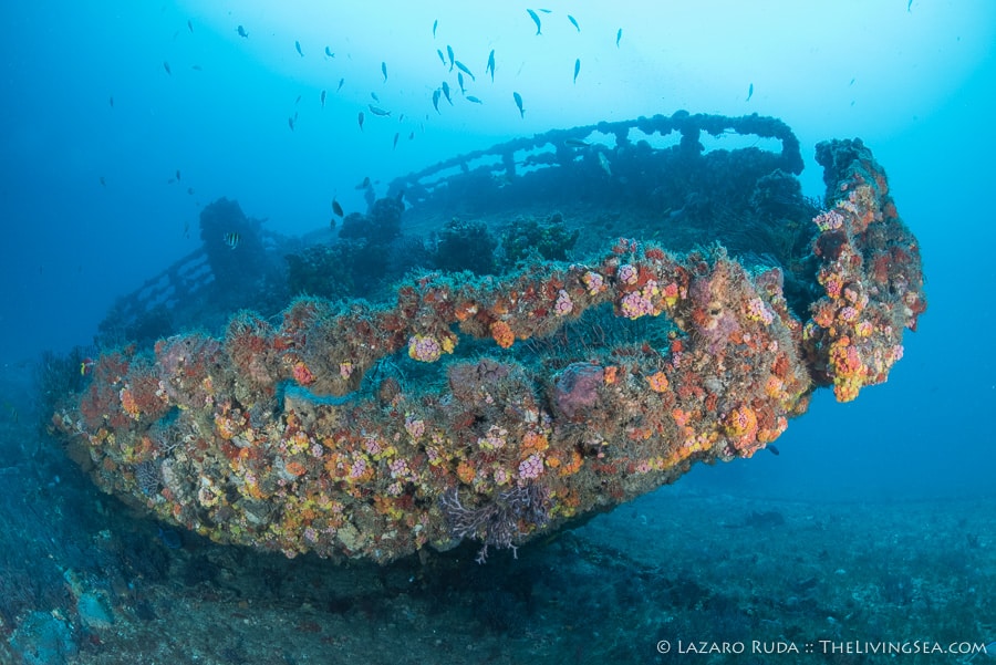 Governor's River Walk Wreck