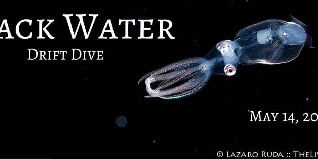Black Water Drift Dive: May 14th