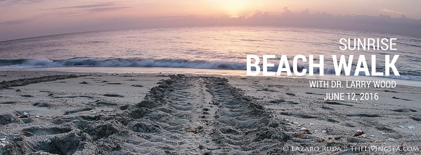 2016 Sunrise Beach Walk with Dr. Larry Wood