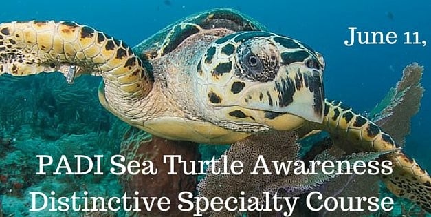 2016 PADI Sea Turtle Awareness Distinctive Specialty Course