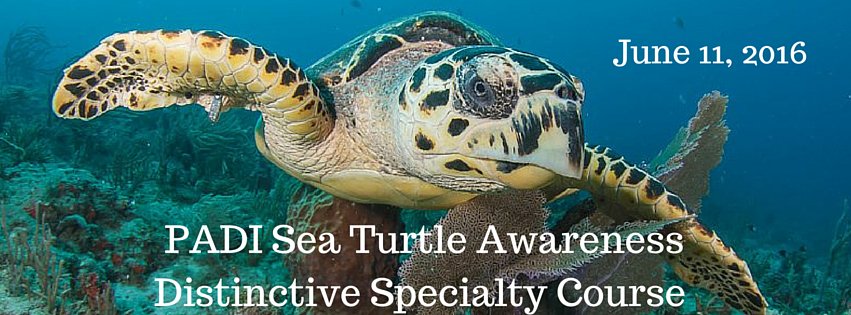 2016 PADI Sea Turtle Awareness Distinctive Specialty Course