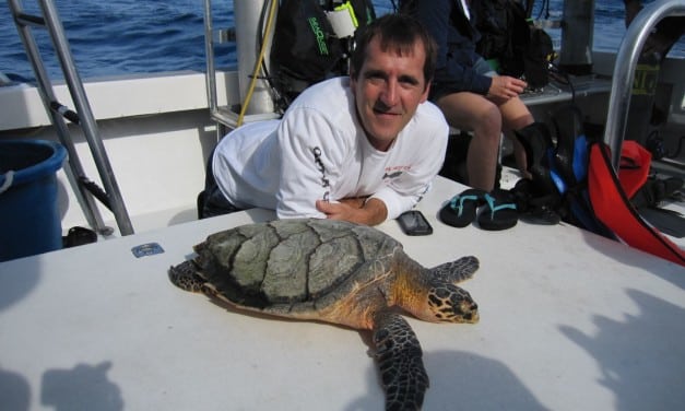 2016 Sea Turtle Education Day with Dr. Larry Wood