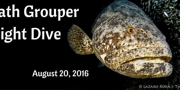 1-Tank Goliath Grouper Night Dive Aboard Sirena
