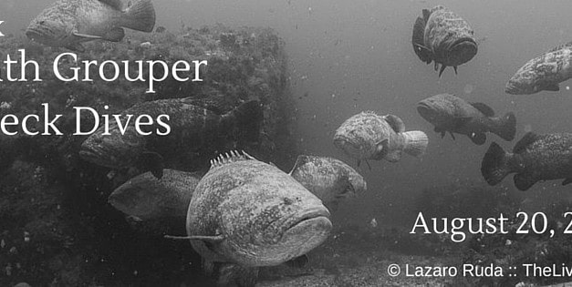 2-Tank Goliath Grouper Wreck Dives Aboard Sirena