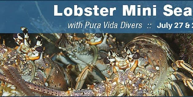 2016 Lobster Mini Season